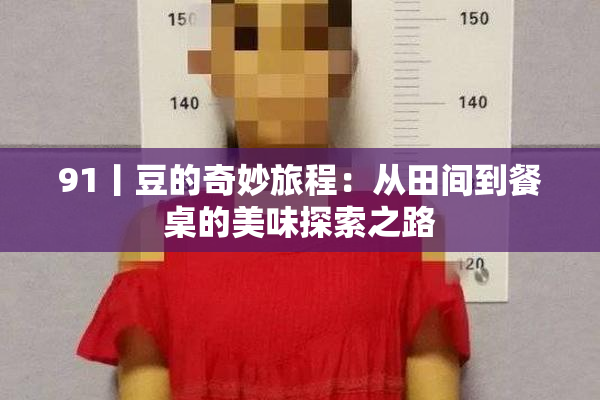 91丨豆的奇妙旅程：从田间到餐桌的美味探索之路