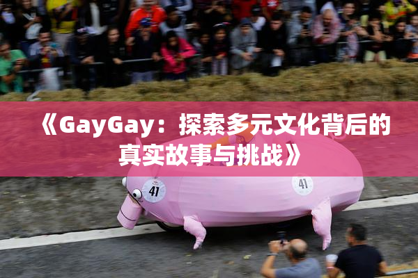 《GayGay：探索多元文化背后的真实故事与挑战》