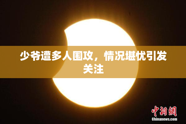 少爷遭多人围攻，情况堪忧引发关注