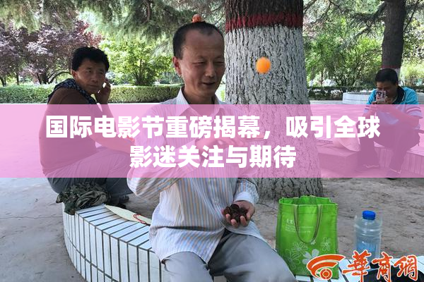 国际电影节重磅揭幕，吸引全球影迷关注与期待