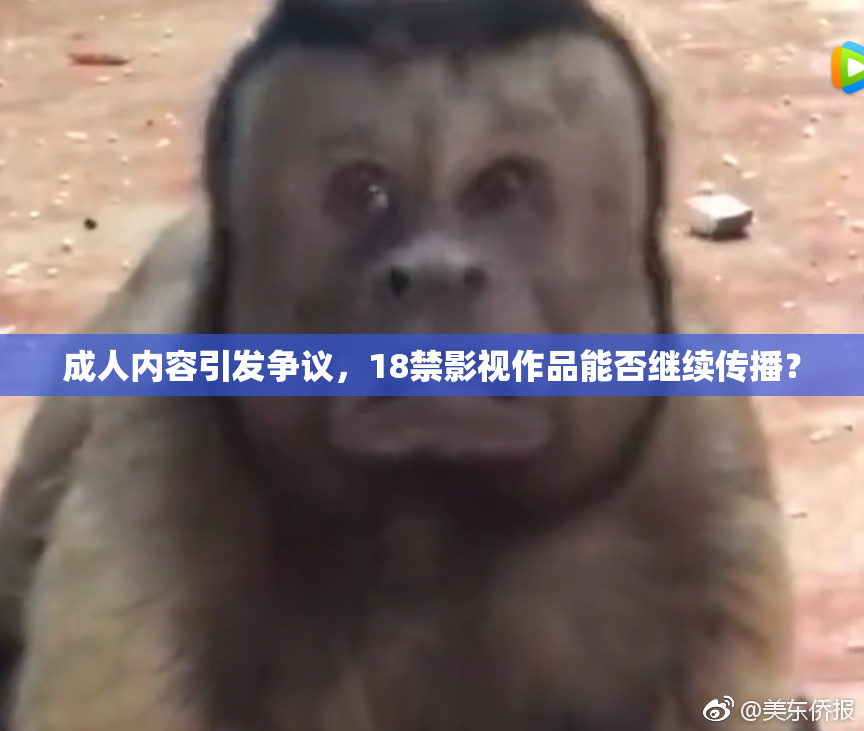 成人内容引发争议，18禁影视作品能否继续传播？