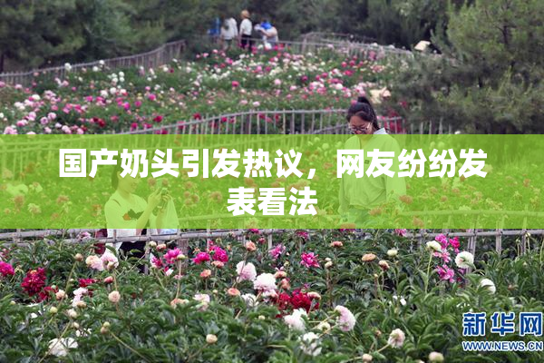 国产奶头引发热议，网友纷纷发表看法