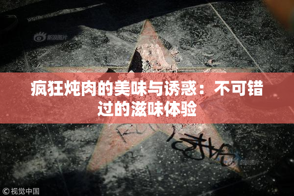 疯狂炖肉的美味与诱惑：不可错过的滋味体验