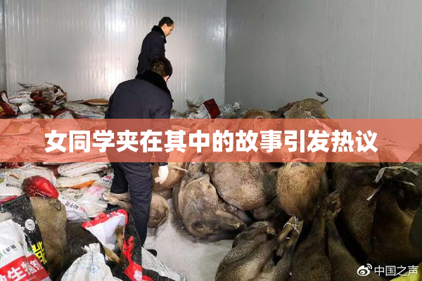 女同学夹在其中的故事引发热议