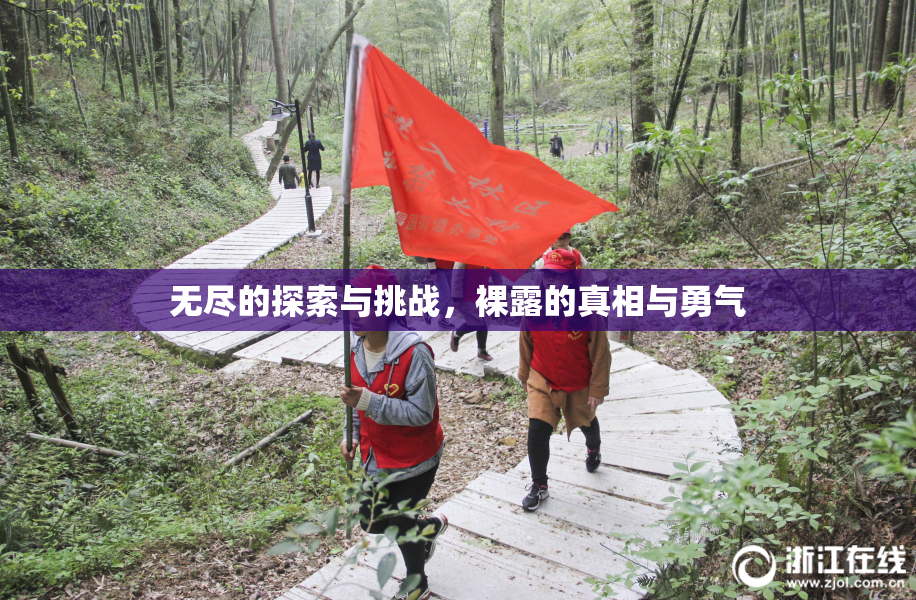 无尽的探索与挑战，裸露的真相与勇气