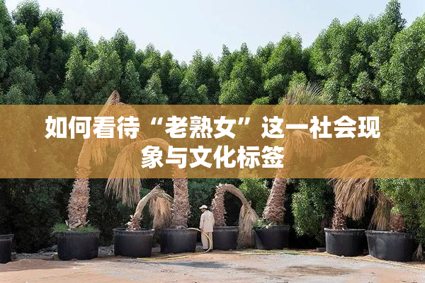 如何看待“老熟女”这一社会现象与文化标签