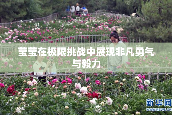 莹莹在极限挑战中展现非凡勇气与毅力