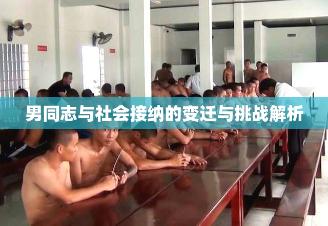 男同志与社会接纳的变迁与挑战解析