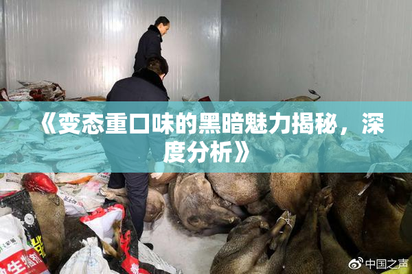 《变态重口味的黑暗魅力揭秘，深度分析》