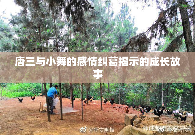 唐三与小舞的感情纠葛揭示的成长故事