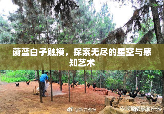 蔚蓝白子触摸，探索无尽的星空与感知艺术