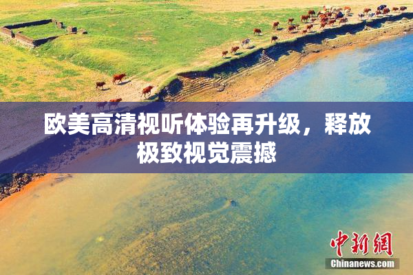 欧美高清视听体验再升级，释放极致视觉震撼