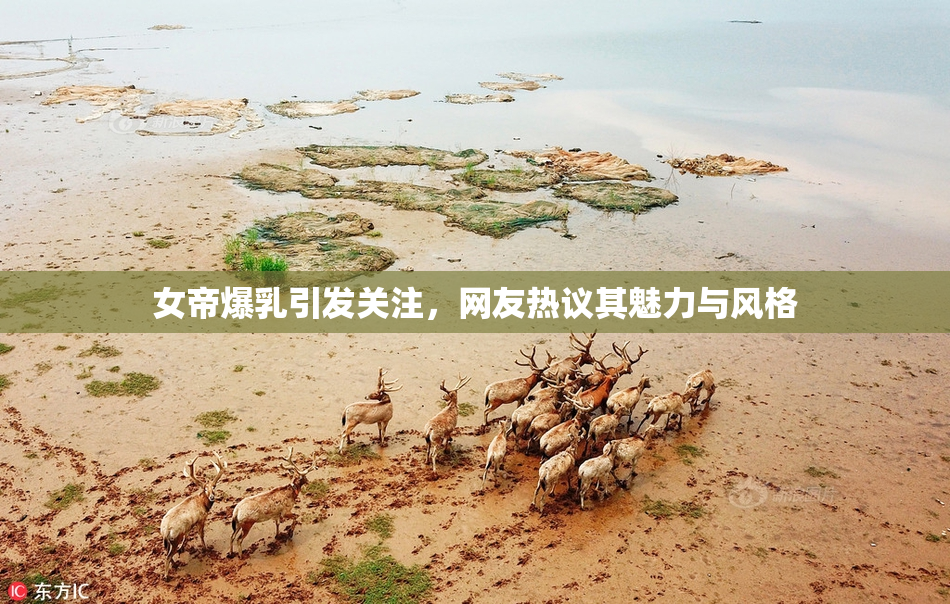女帝爆乳引发关注，网友热议其魅力与风格