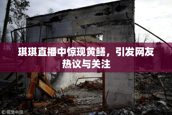 琪琪直播中惊现黄鳝，引发网友热议与关注