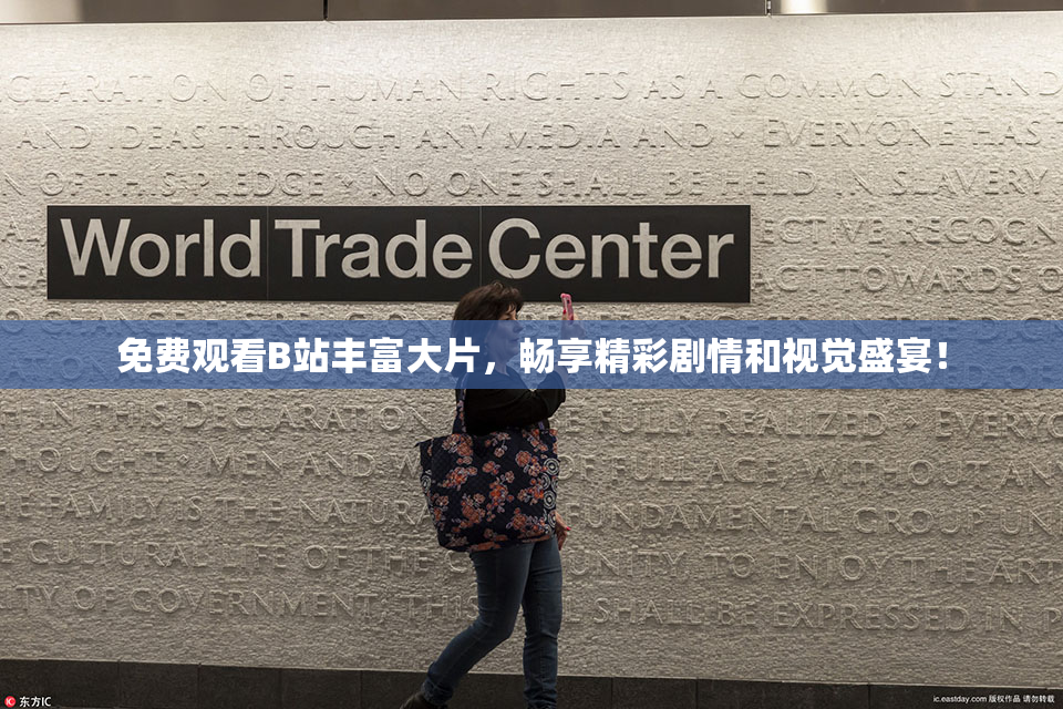 免费观看B站丰富大片，畅享精彩剧情和视觉盛宴！