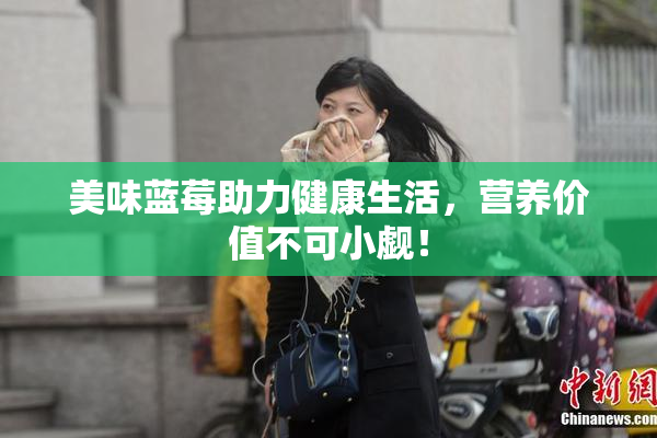 美味蓝莓助力健康生活，营养价值不可小觑！