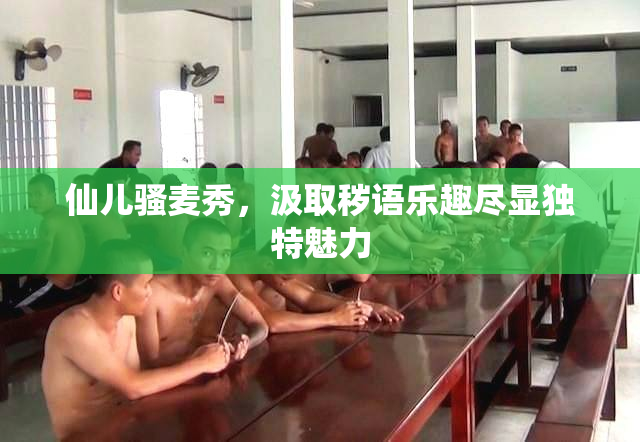 仙儿骚麦秀，汲取秽语乐趣尽显独特魅力