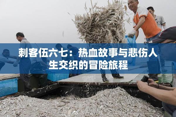 刺客伍六七：热血故事与悲伤人生交织的冒险旅程