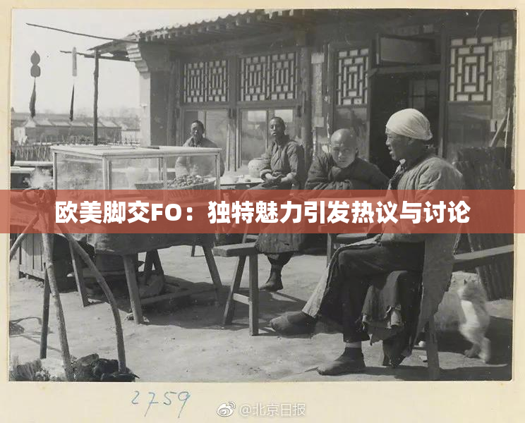 欧美脚交FO：独特魅力引发热议与讨论