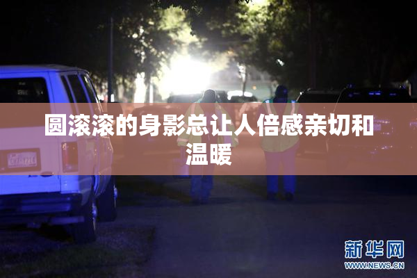 圆滚滚的身影总让人倍感亲切和温暖