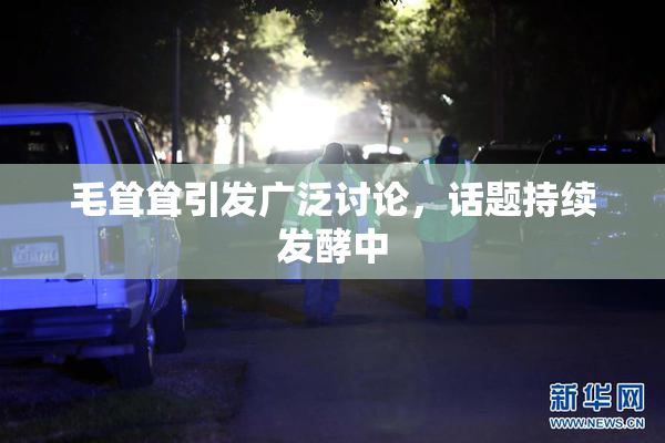 毛耸耸引发广泛讨论，话题持续发酵中