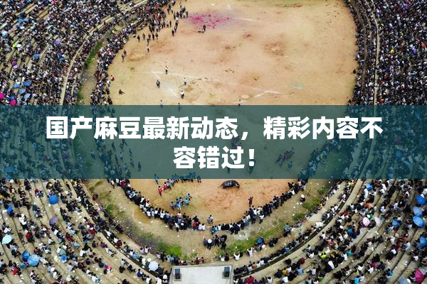 国产麻豆最新动态，精彩内容不容错过！