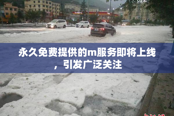 永久免费提供的m服务即将上线，引发广泛关注