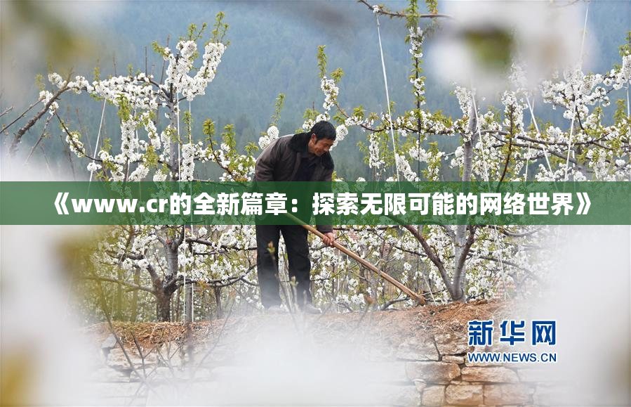 《www.cr的全新篇章：探索无限可能的网络世界》