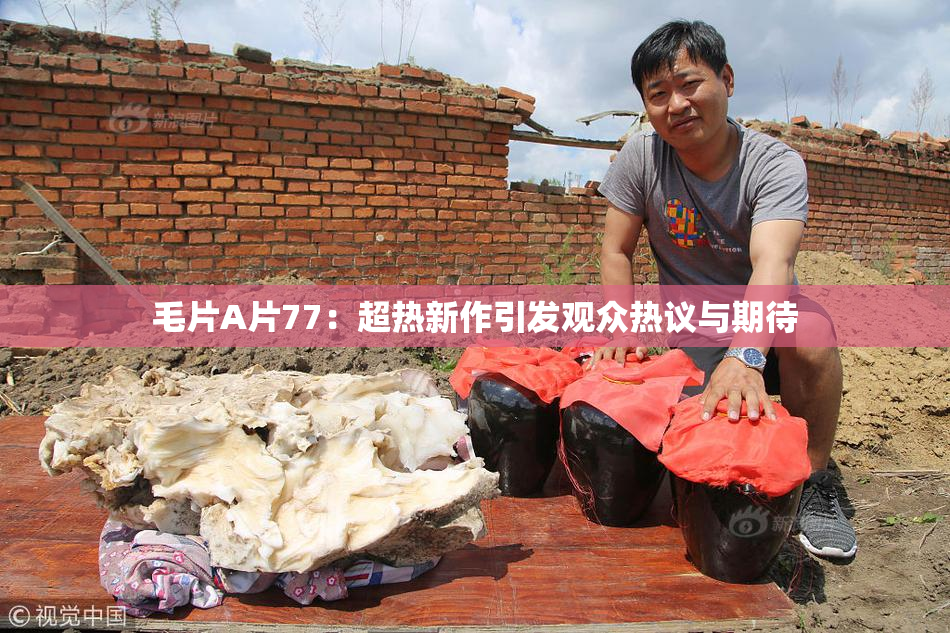 毛片A片77：超热新作引发观众热议与期待