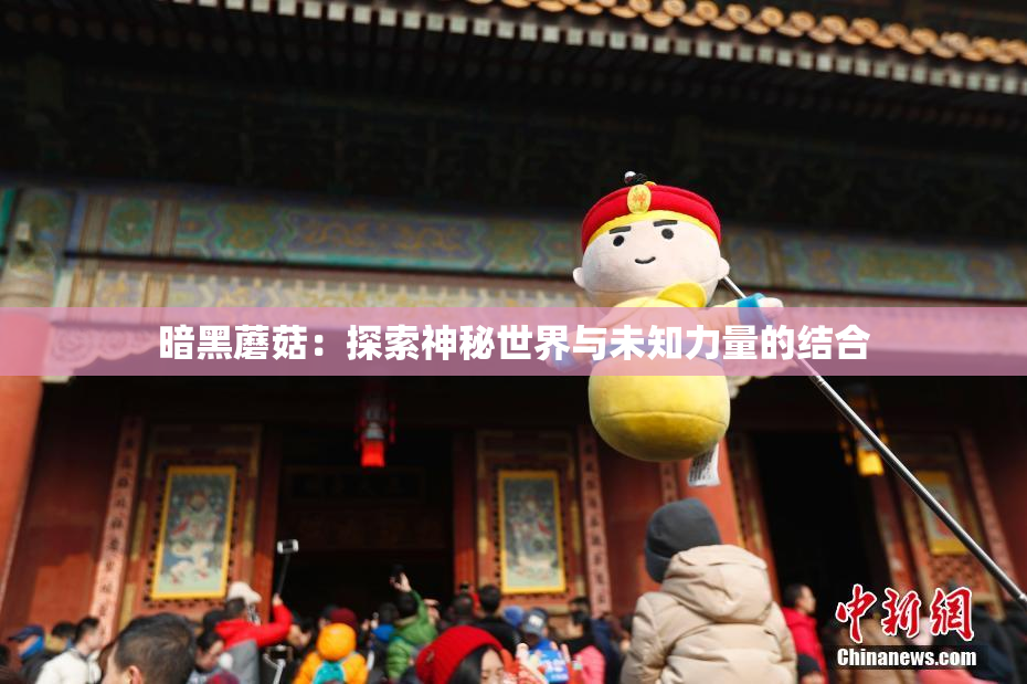 暗黑蘑菇：探索神秘世界与未知力量的结合