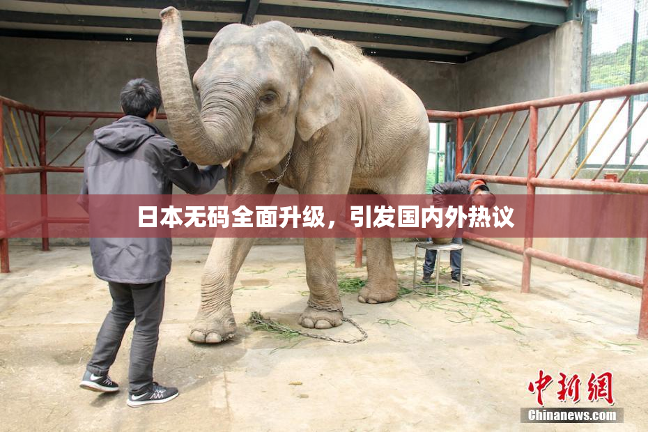 日本无码全面升级，引发国内外热议