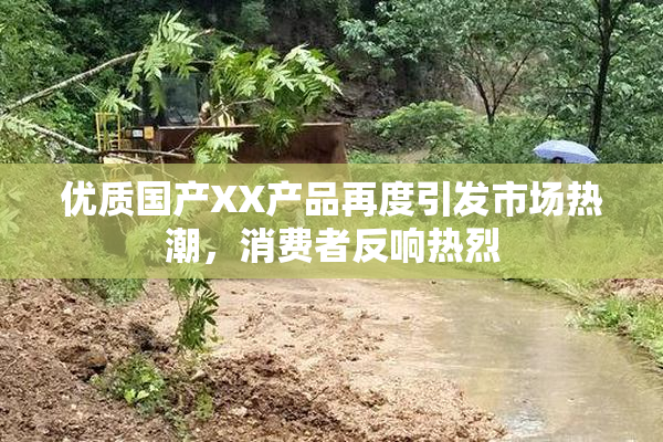 优质国产XX产品再度引发市场热潮，消费者反响热烈