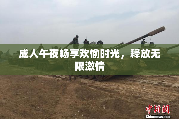 成人午夜畅享欢愉时光，释放无限激情