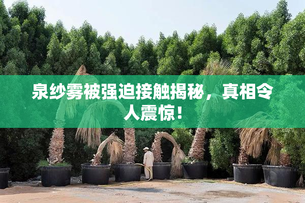 泉纱雾被强迫接触揭秘，真相令人震惊！