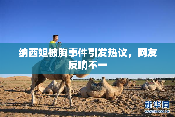 纳西妲被胸事件引发热议，网友反响不一