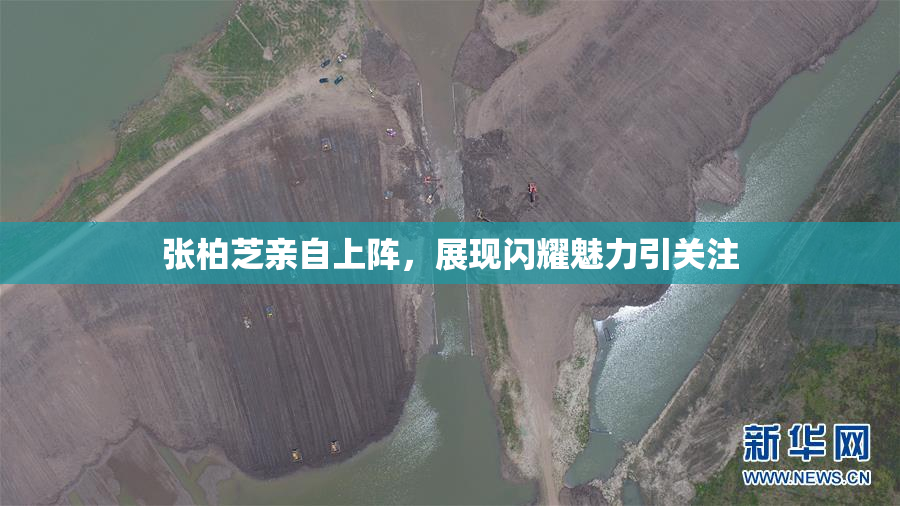 张柏芝亲自上阵，展现闪耀魅力引关注