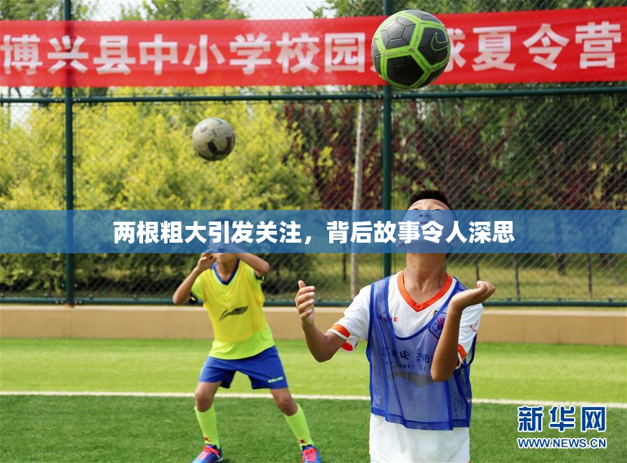 两根粗大引发关注，背后故事令人深思