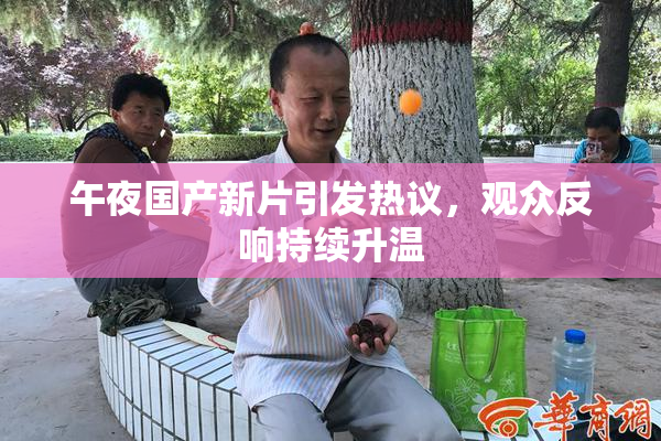 午夜国产新片引发热议，观众反响持续升温