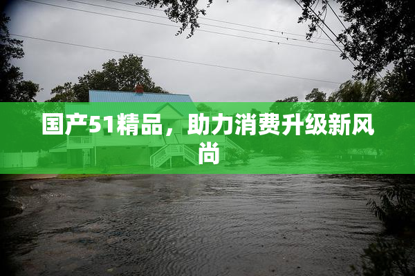 国产51精品，助力消费升级新风尚