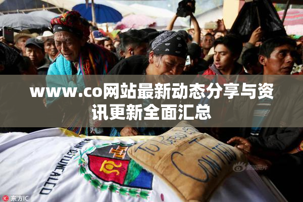 www.co网站最新动态分享与资讯更新全面汇总