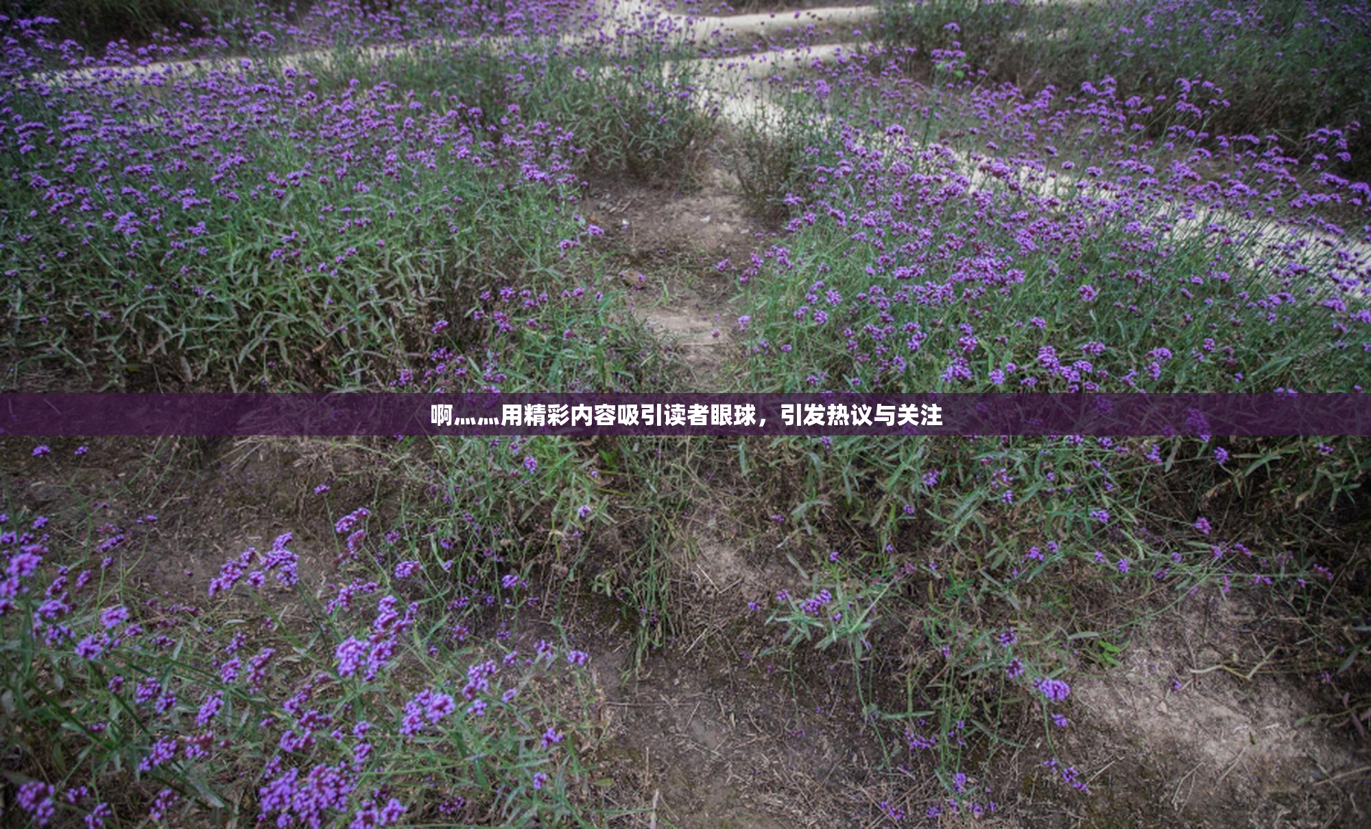啊灬灬用精彩内容吸引读者眼球，引发热议与关注