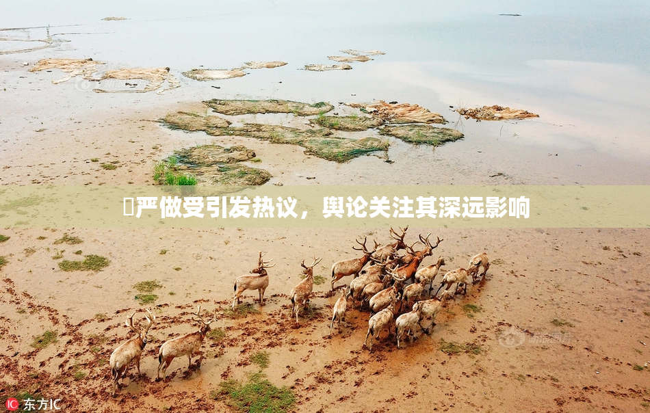 囯严做受引发热议，舆论关注其深远影响
