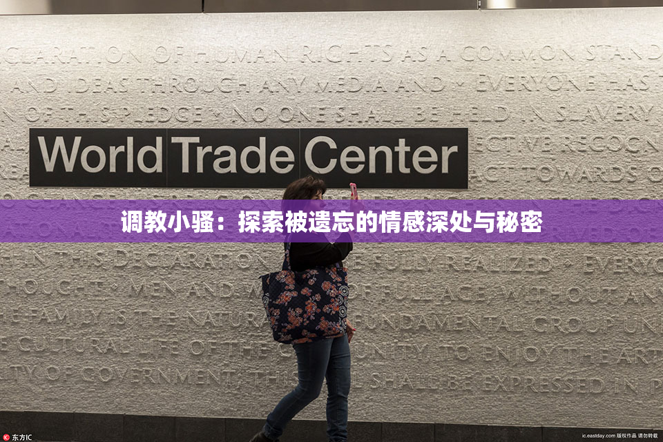 调教小骚：探索被遗忘的情感深处与秘密