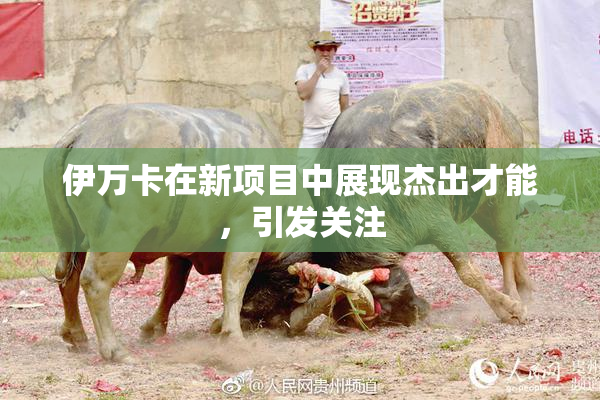 伊万卡在新项目中展现杰出才能，引发关注