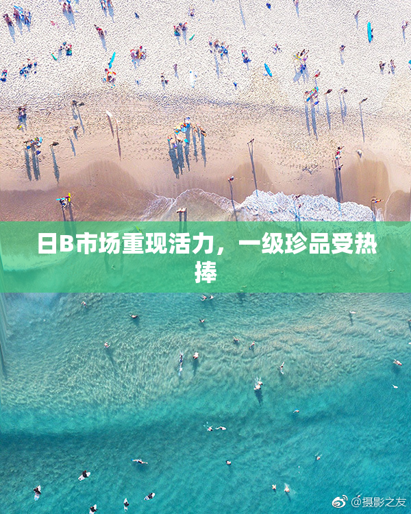 日B市场重现活力，一级珍品受热捧