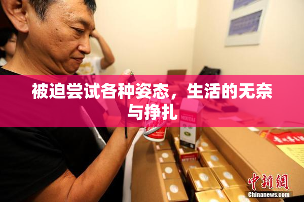 被迫尝试各种姿态，生活的无奈与挣扎