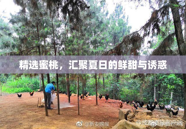 精选蜜桃，汇聚夏日的鲜甜与诱惑