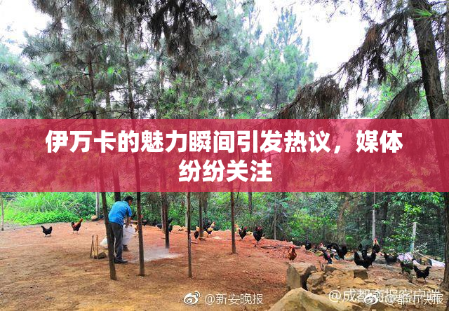 伊万卡的魅力瞬间引发热议，媒体纷纷关注