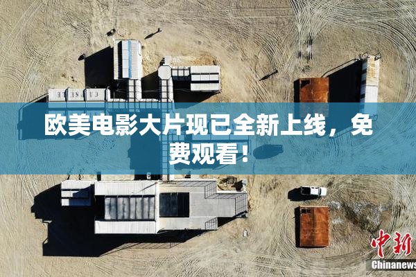 欧美电影大片现已全新上线，免费观看！