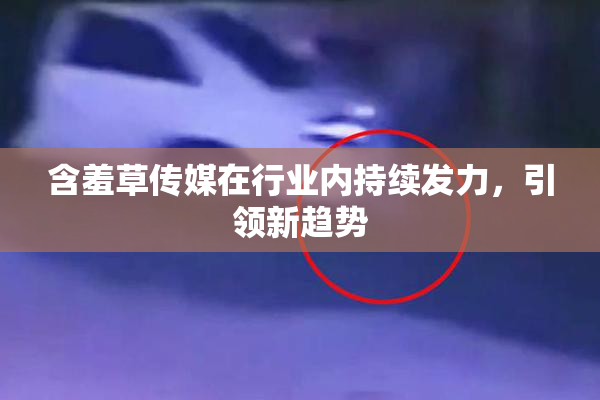 含羞草传媒在行业内持续发力，引领新趋势
